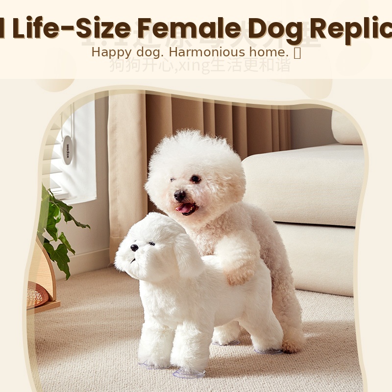 Dog toy product display