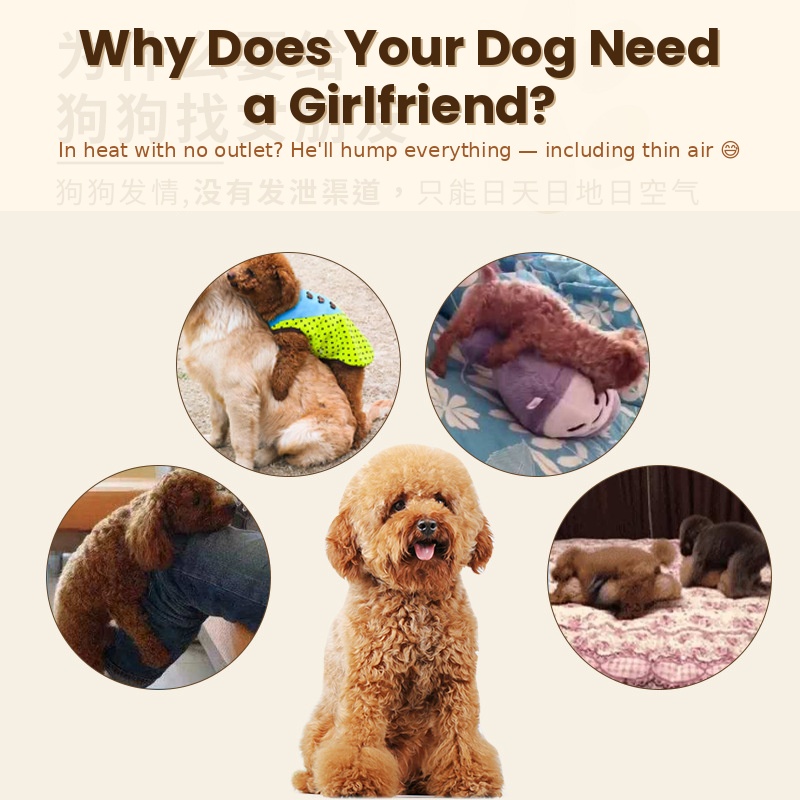 Dog toy product display